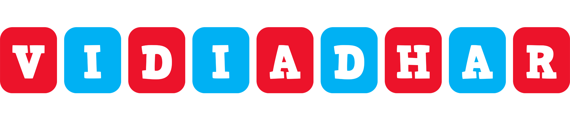 Vidiadhar diesel logo