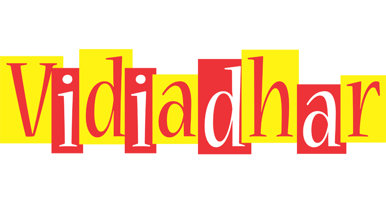Vidiadhar errors logo