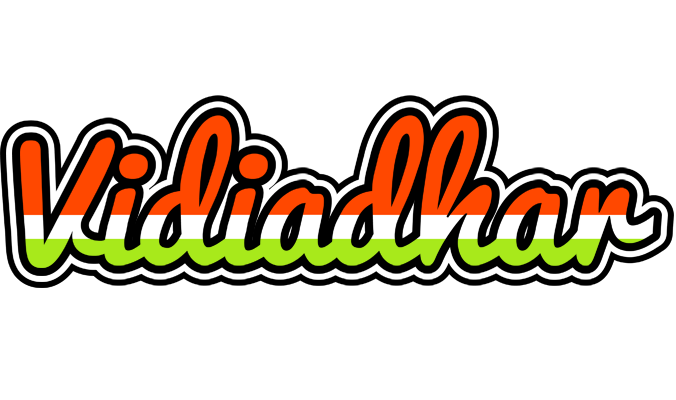 Vidiadhar exotic logo