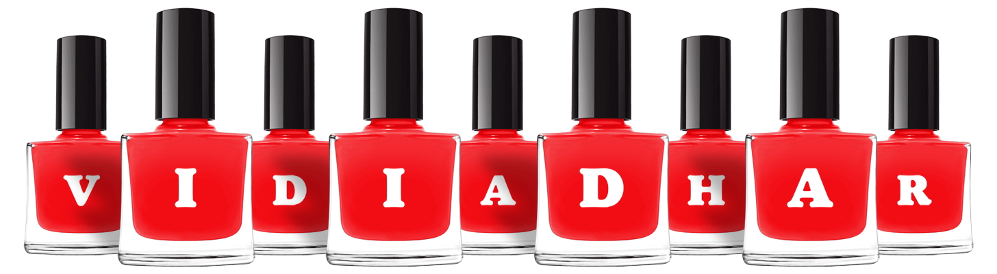 Vidiadhar fashion logo