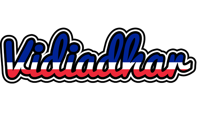 Vidiadhar france logo