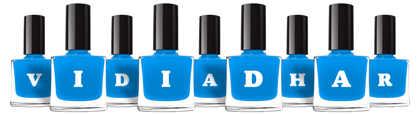 Vidiadhar glossy logo