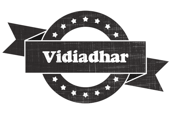 Vidiadhar grunge logo