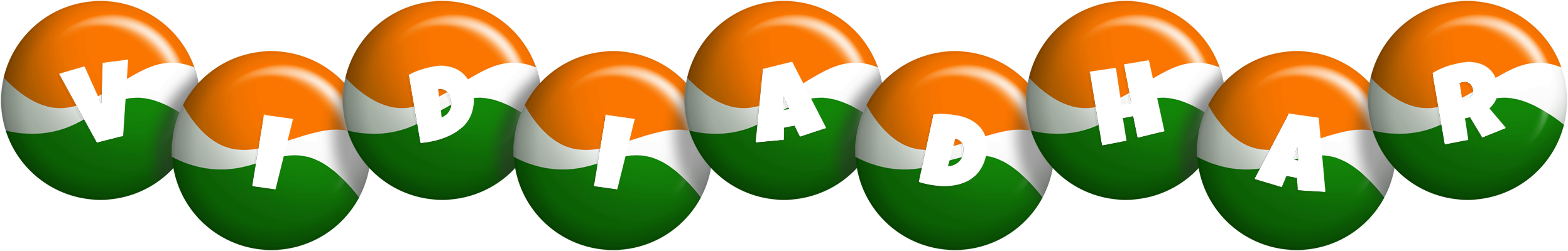 Vidiadhar india logo