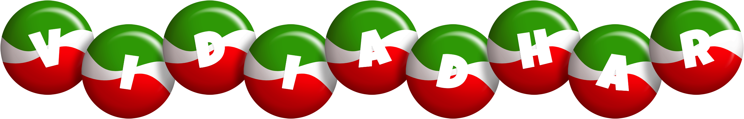 Vidiadhar italy logo