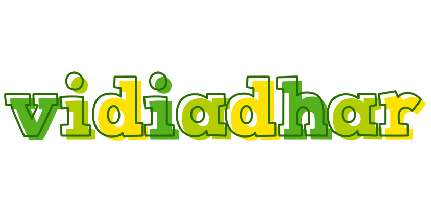 Vidiadhar juice logo