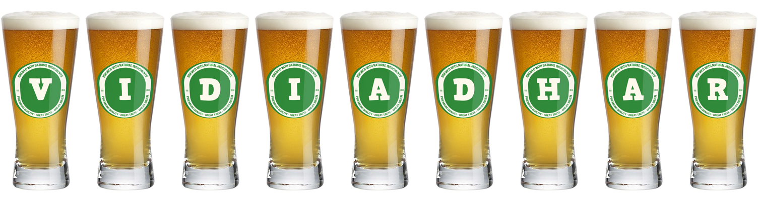 Vidiadhar lager logo