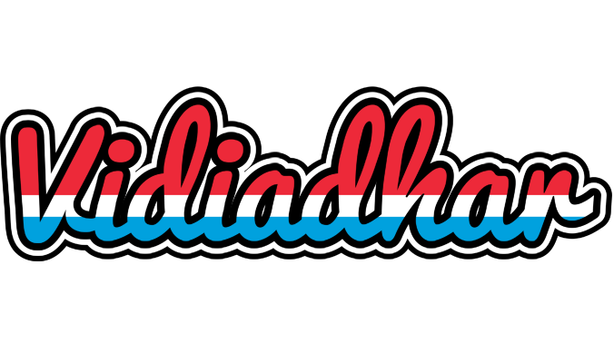 Vidiadhar norway logo