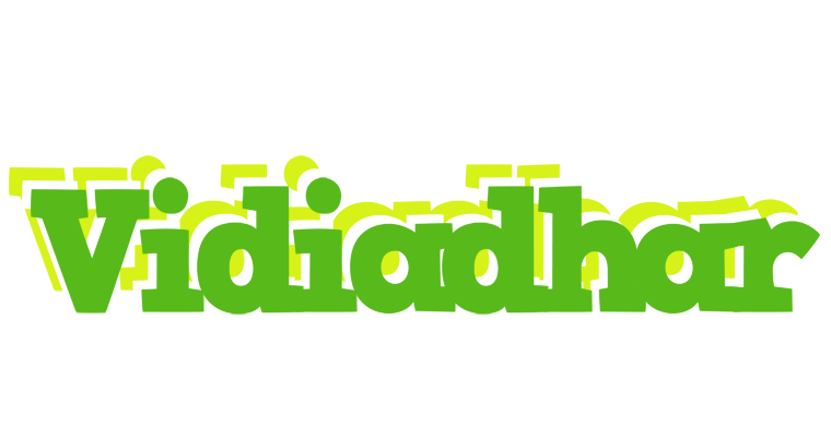 Vidiadhar picnic logo