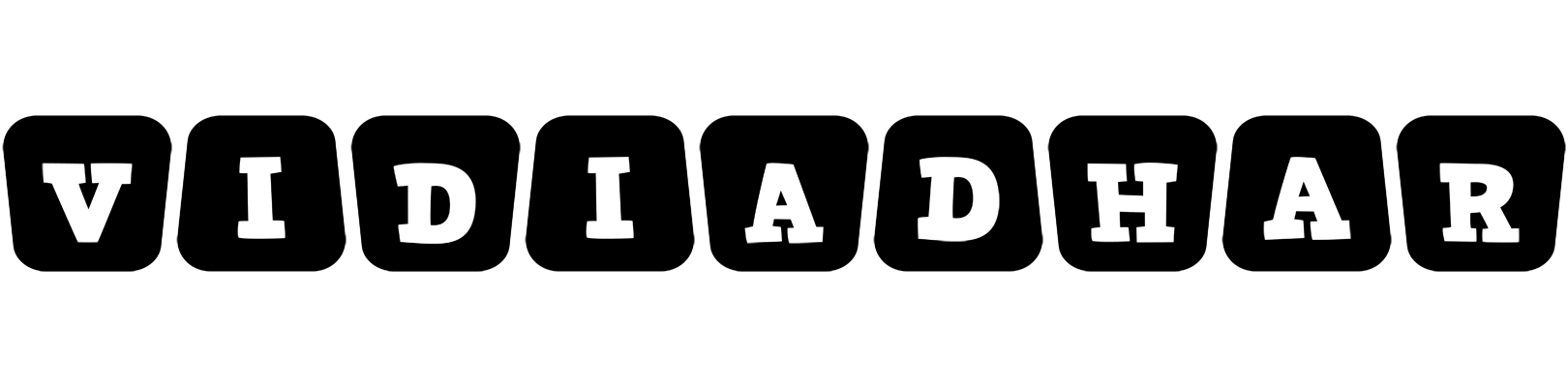 Vidiadhar racing logo