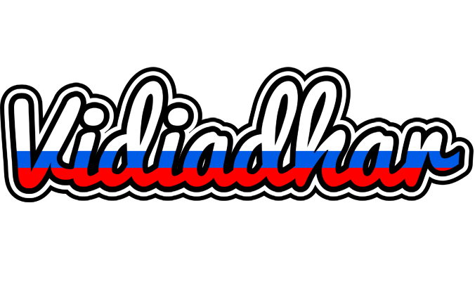 Vidiadhar russia logo