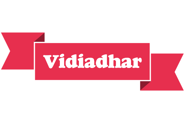 Vidiadhar sale logo