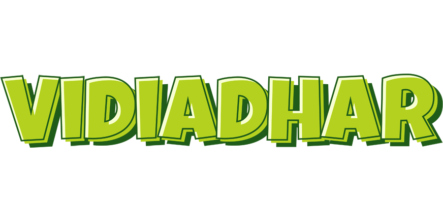 Vidiadhar summer logo