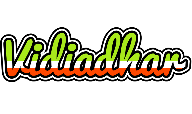 Vidiadhar superfun logo