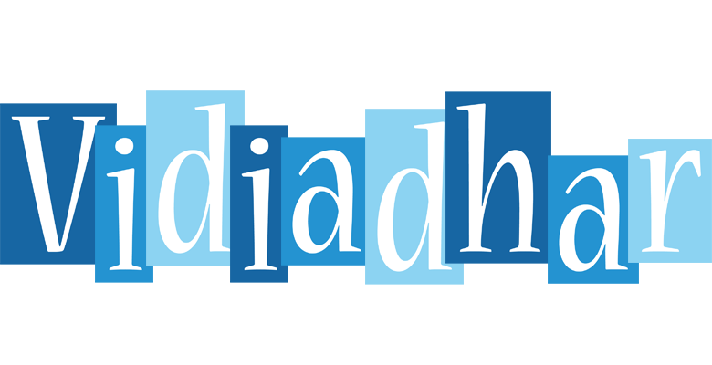 Vidiadhar winter logo