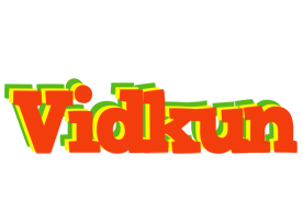 Vidkun bbq logo
