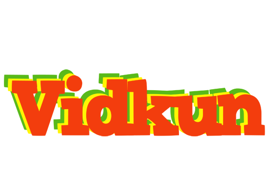 Vidkun bbq logo