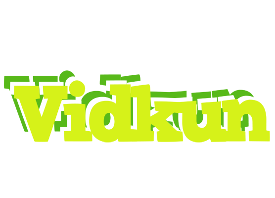 Vidkun citrus logo