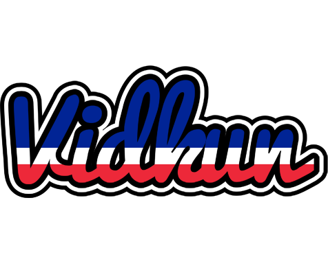 Vidkun france logo