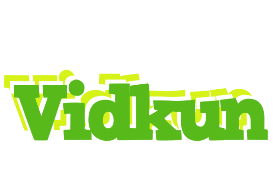 Vidkun picnic logo