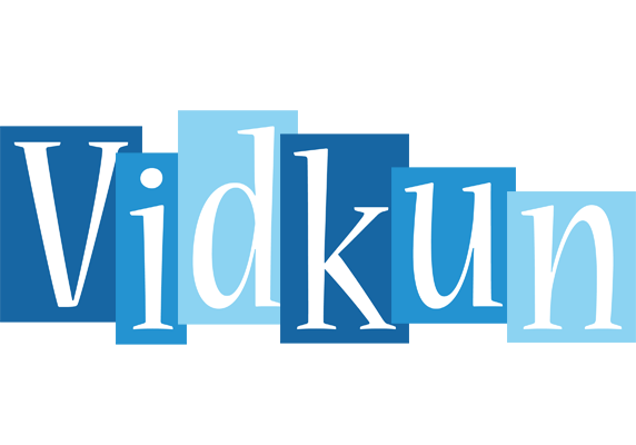 Vidkun winter logo