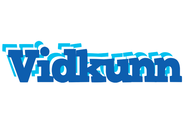 Vidkunn business logo