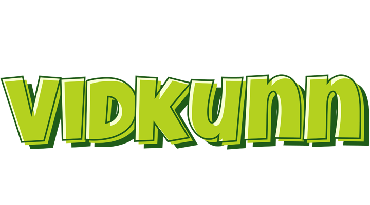 Vidkunn summer logo