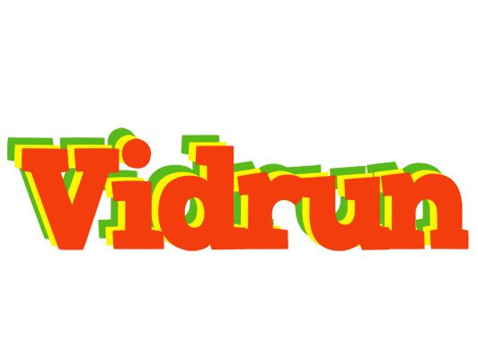 Vidrun bbq logo