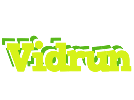 Vidrun citrus logo