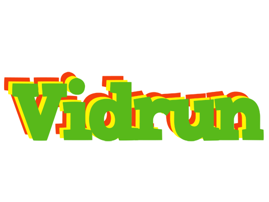 Vidrun crocodile logo