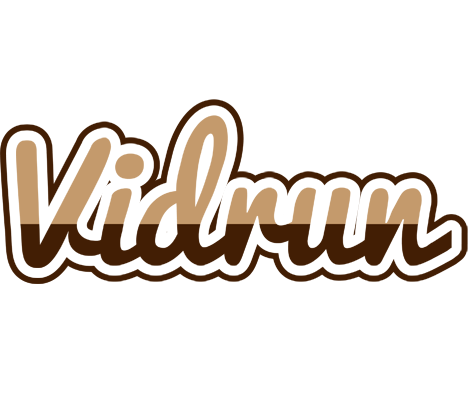 Vidrun exclusive logo