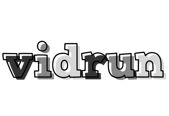 Vidrun night logo