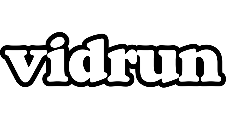 Vidrun panda logo