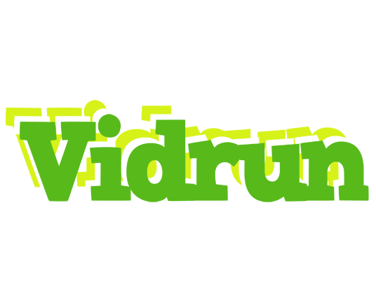 Vidrun picnic logo