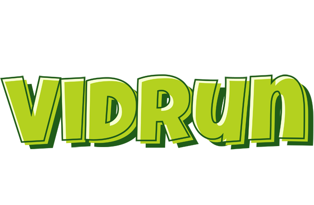 Vidrun summer logo