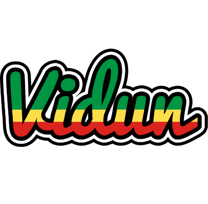 Vidun african logo