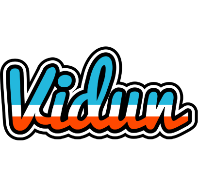 Vidun america logo