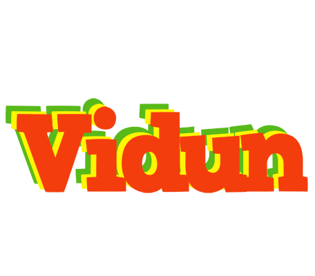 Vidun bbq logo