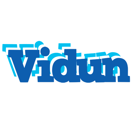 Vidun business logo