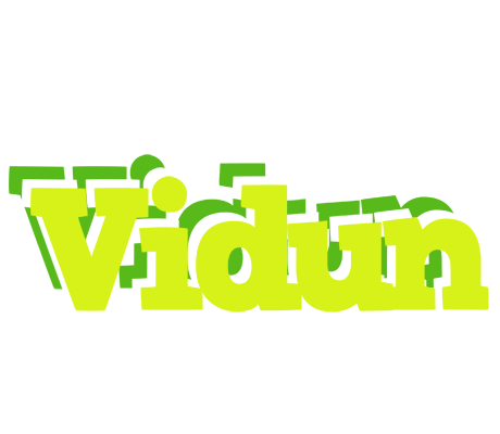 Vidun citrus logo