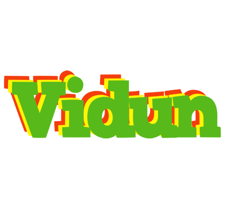 Vidun crocodile logo
