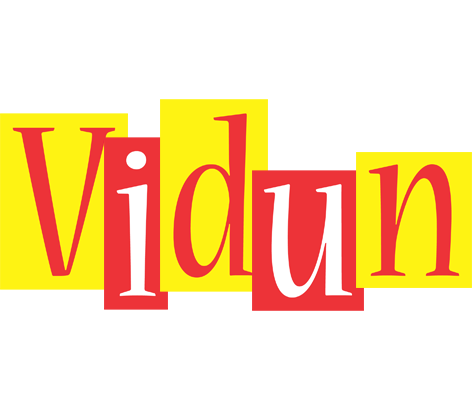 Vidun errors logo
