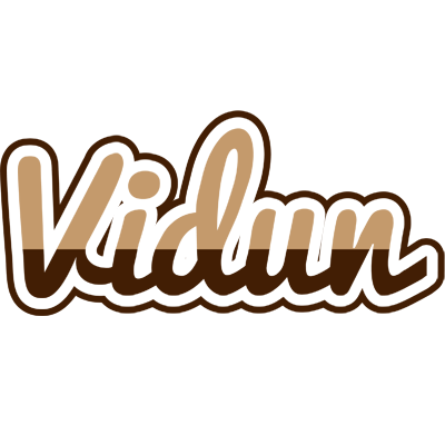 Vidun exclusive logo