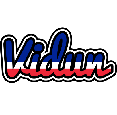 Vidun france logo