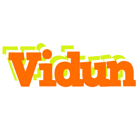 Vidun healthy logo