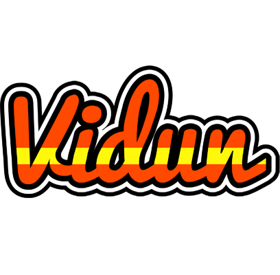 Vidun madrid logo