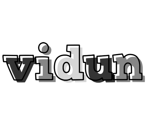 Vidun night logo