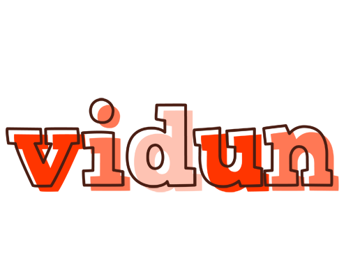 Vidun paint logo