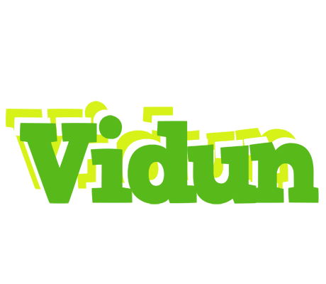 Vidun picnic logo