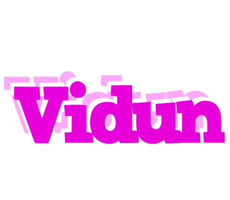 Vidun rumba logo